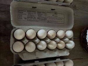 Cardinal Kelso Eggs